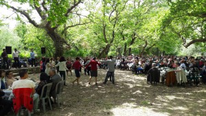 Στιγμιότυπο από παλαιότερη εκδήλωση στο Πλατανόδασος Αγίου Γεωργίου, όπου στις 14 Αυγούστου θα φιλοξενηθεί συναυλία με την Γλυκερία.